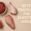 The Best Proteins for Dogs with Allergies & Sensitive Stomachs