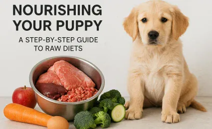 Nourishing Your Puppy: A Step-by-Step Guide to Raw Diets