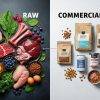 Raw vs. Commercial Dog Food: Nutritional Value Explained