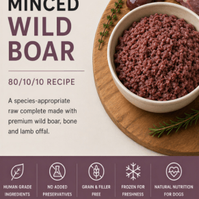 Raw Treat Minced Wild Boar 500g | PrimalBox