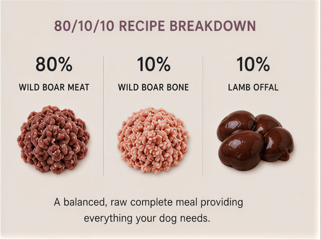 Raw Treat Minced Wild Boar 500g | PrimalBox - Image 2