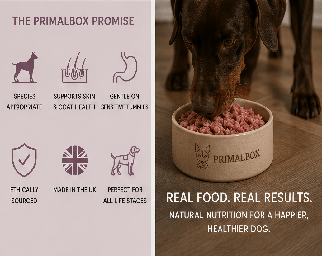Raw Treat Minced Wild Boar 500g | PrimalBox - Image 3